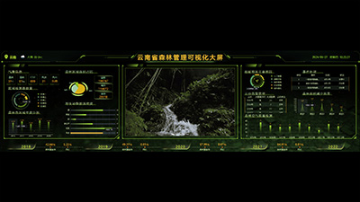 Yunnan Province Forest Management Visualization Dashboard
