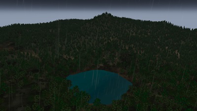 Rainy Night Forest Visualization